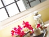 Tray on Window